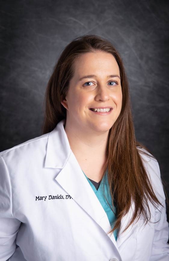 dr mary dr mary