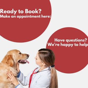 Book a Veterinary Appointment